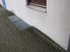 Schimmel imm Kindergarten Vorschaubild